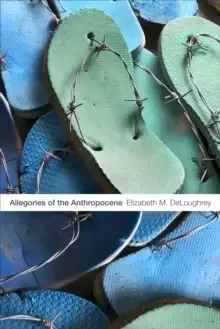Image of Allegories of the Anthropocene