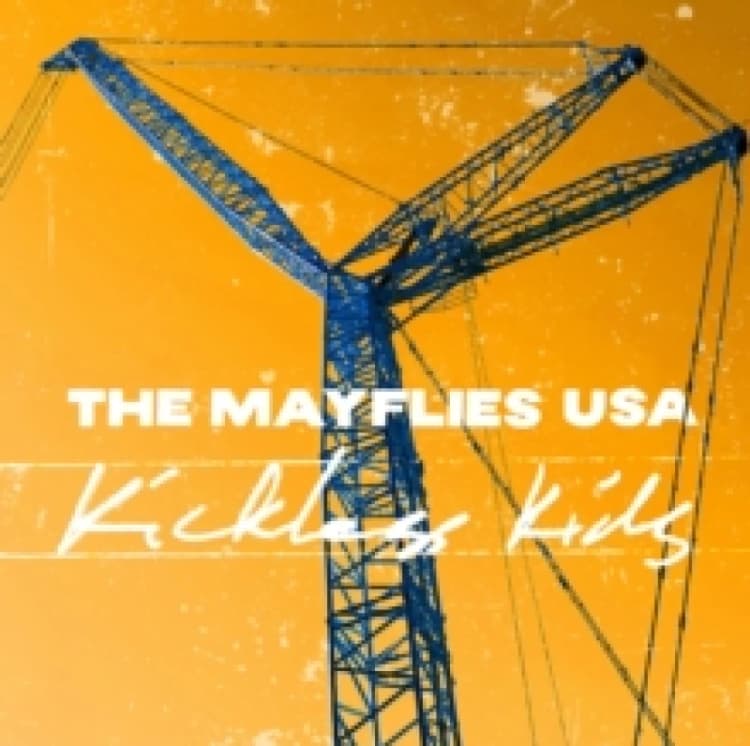 Image of Kickless kids Vinyl