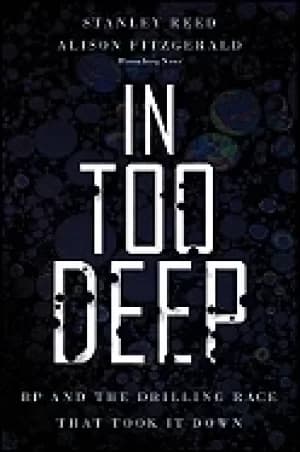 Image of in too deep bp and the drilling race that took it down
