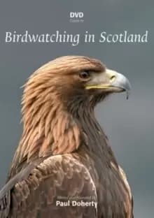 Image of Birdwatching in Scotland