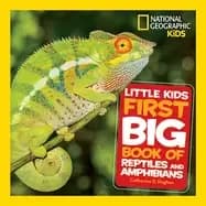 Image of little kids first big book of reptiles and amphibians