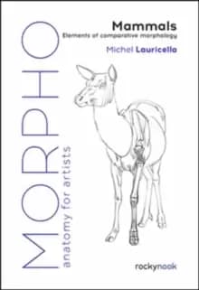 Image of Morpho: Mammals : Elements of Comparative Morphology