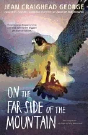 Image of on the far side of the mountain
