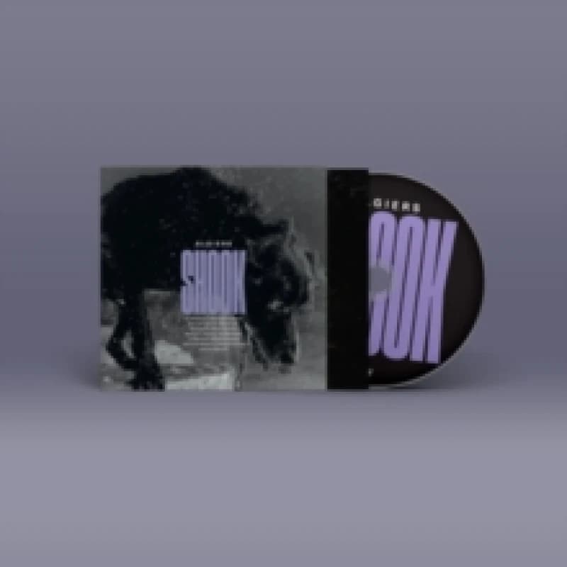 Image of Shook CD / Album