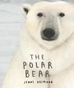 Image of polar bear