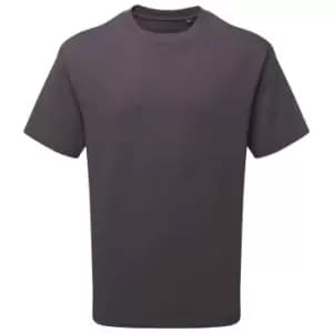 Image of Anthem Unisex Adult Heavyweight T-Shirt (3XL) (Charcoal)