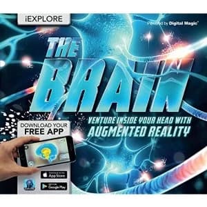 Image of iExplore The Brain by Jack Challoner (Hardback, 2017)