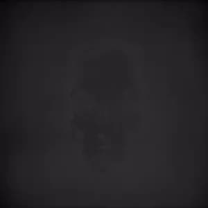 Image of Ingenting by Dodsmaskin CD Album