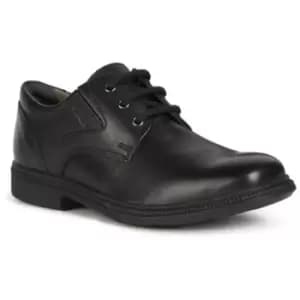 Image of Geox Boys Federico Lace Up Leather School Shoes UK Size 3 (EU 36)