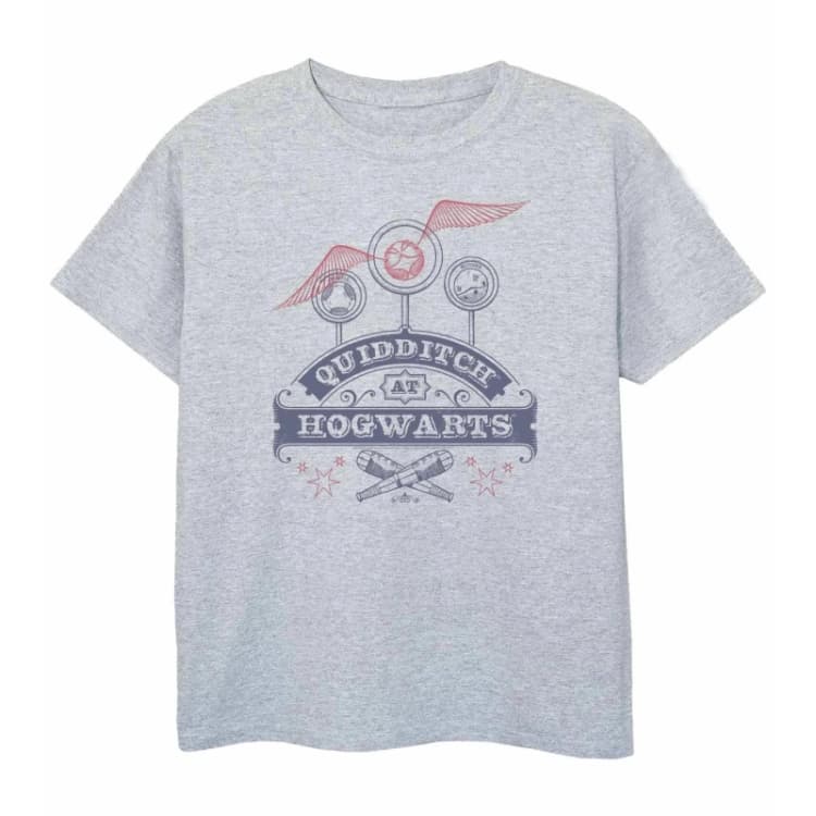 Image of Harry Potter Quidditch T-Shirt Grey male