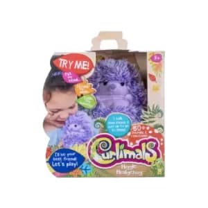 Image of Curlimals Higgle the Hedgehog