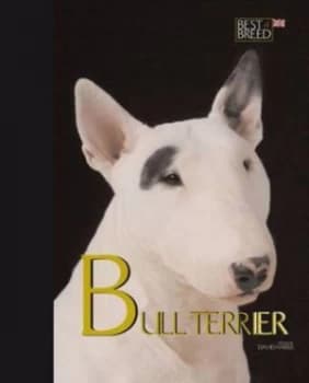 Image of Bull Terrier by David Harris Hardback