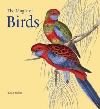 Image of The Magic of Birds by Celia Fisher Hardback