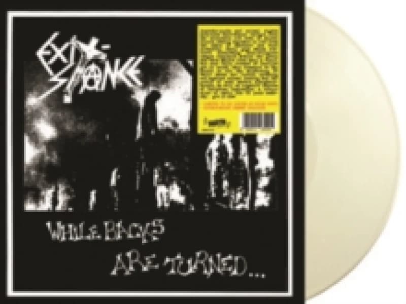 Image of While Backs Are Turned... Vinyl