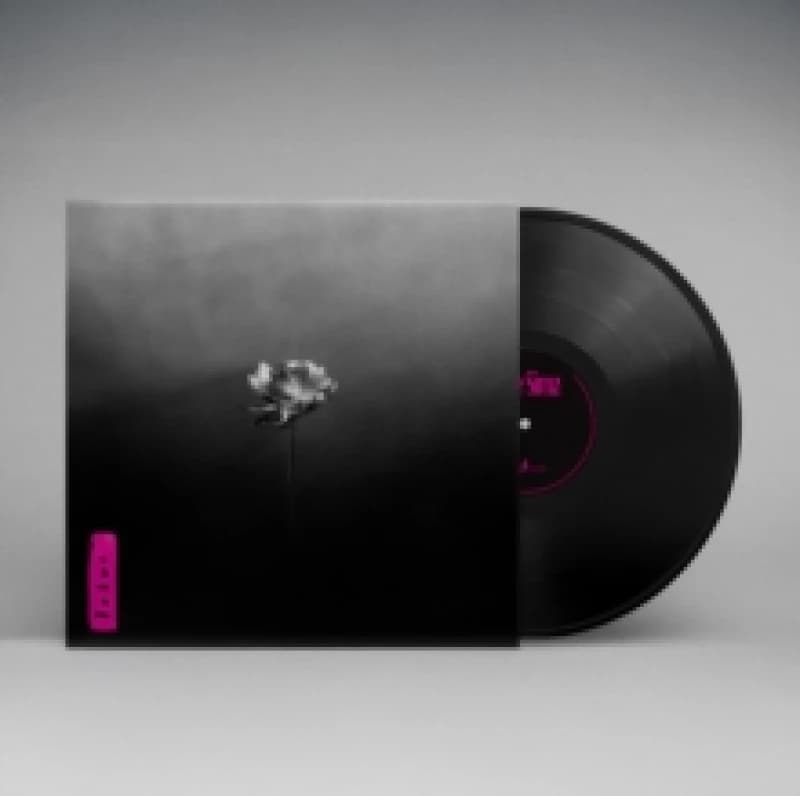 Image of Lotus Vinyl