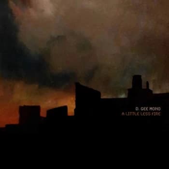 Image of D. Gee Mono - A Little Less Fire (Orange Colour) Vinyl