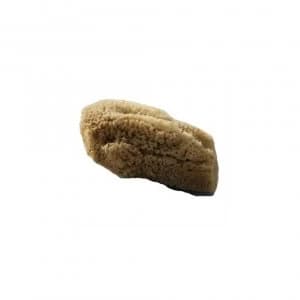 Image of Beaming Baby Organic Baby Sea Sponge Large Natural