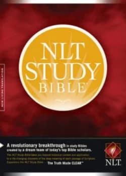Image of Nlt Study Bible Hardback