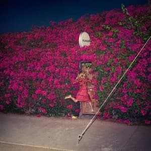Image of Feist - Pleasure Vinyl