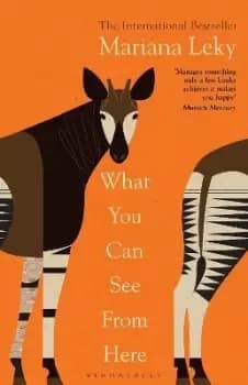 Image of What You Can See From Here by Mariana Leky