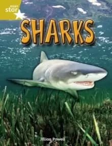 Image of Rigby Star Independent Year 2 Gold Non Fiction Sharks Single