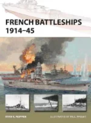 Image of french battleships 1914 45