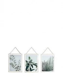 Image of Arthouse Set 3 Botanical Framed Prints