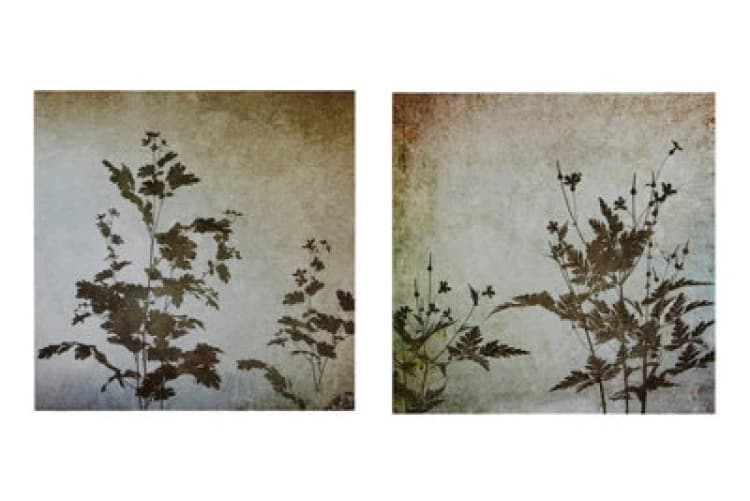 Image of Premier Housewares Madera Textured Florals Wall Plaques - Set of 2 Natural