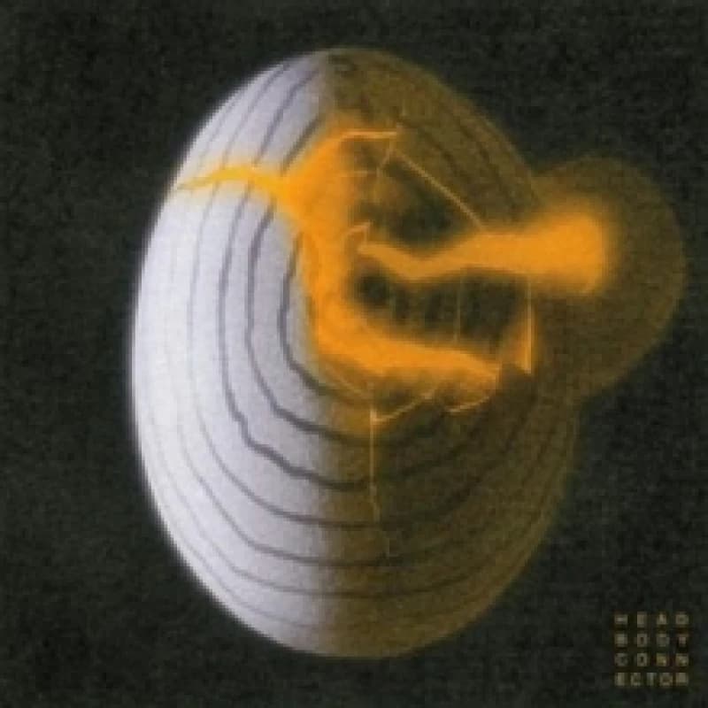 Image of Head body connector Vinyl