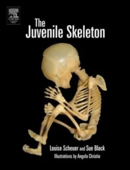 Image of The Juvenile Skeleton by Louise Scheuer Hardback