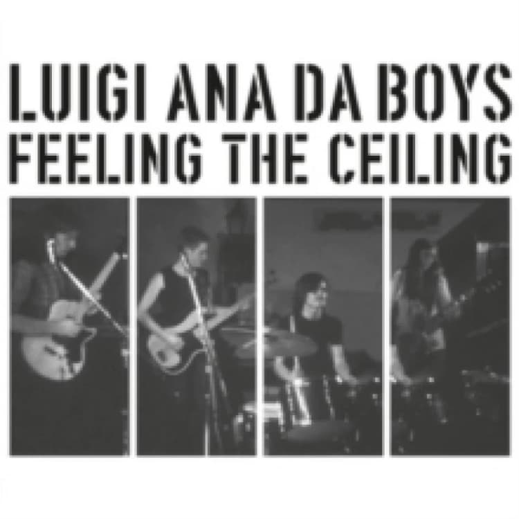 Image of Feeling the Ceiling Vinyl