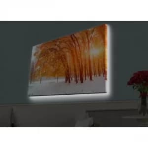 Image of 4570HDACT-044 Multicolor Decorative LED Lighted Canvas Painting