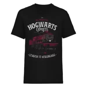 Image of Harry Potter Unisex Adult All Aboard T-Shirt (XXL) (Black)