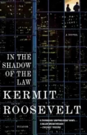 Image of in the shadow of the law