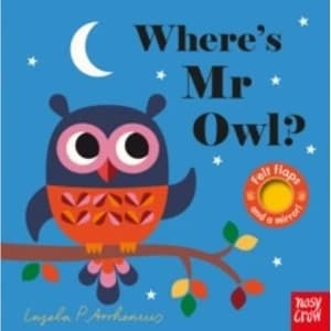 Image of Where's Mr Owl?