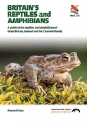 Image of britains reptiles and amphibians