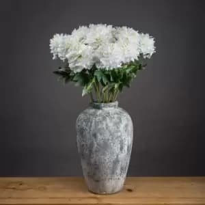 Image of Classic White Peony