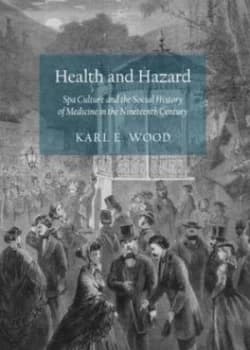 Image of Health and Hazard by Karl E Wood Hardback