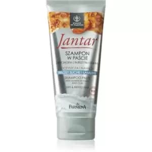 Image of Farmona Jantar Amber Extract & Clay Purifying Shampoo For Dry And Brittle Hair 200ml