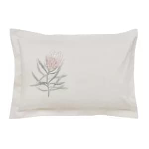 Image of Sanderson Protea Flower Oxford Pillowcase, Sea Pink