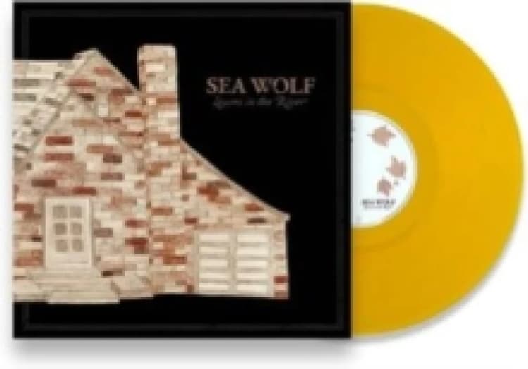 Image of Leaves in the River Vinyl