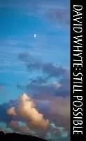Image of Still Possible by David Whyte