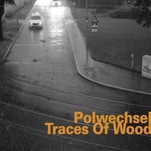 Image of Traces of Wood by Polwechsel CD Album
