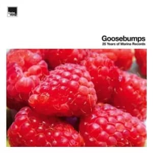 Image of Goosebumps 25 Years of Marina Records by Various Artists Vinyl Album