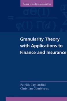 Image of Granularity Theory with Applications to Finance and Insurance by Patrick Gagliardini Paperback