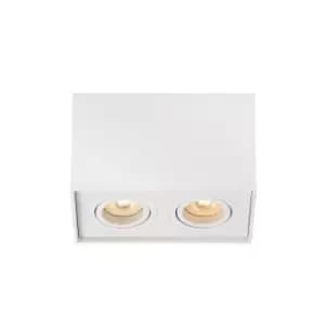 Image of Tube Modern Rectangle Surface Mounted Ceiling Spotlight - 2xGU10 - White