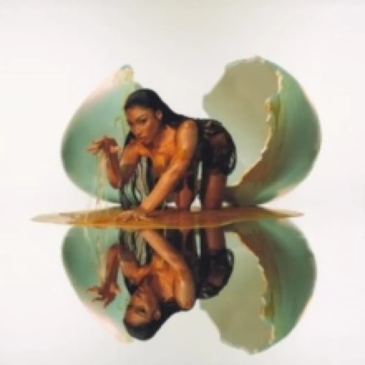 Image of MEGAN Vinyl