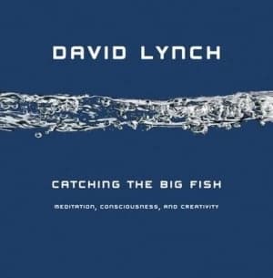Image of Catching the Big Fish by David Lynch Hardback