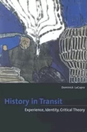 Image of history in transit experience identity critical theory