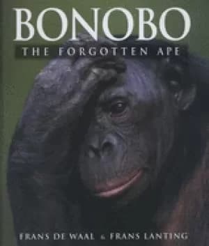 Image of bonobo the forgotten ape